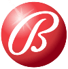 Lead Developer - StudyBae Logo